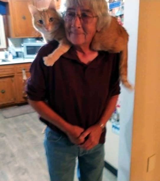 Obituary of Jacklene Lynn Spanjers