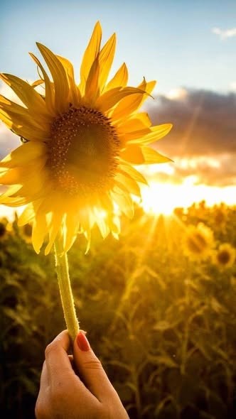 Avis de décès de Kelli Lee Kennedy