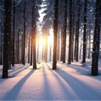 Obituary of Douglas A Wigle