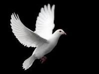 Avis de décès de Maria de Jesus Olguin Payan