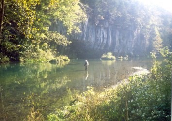 Obituary of Donald Ross Laningham