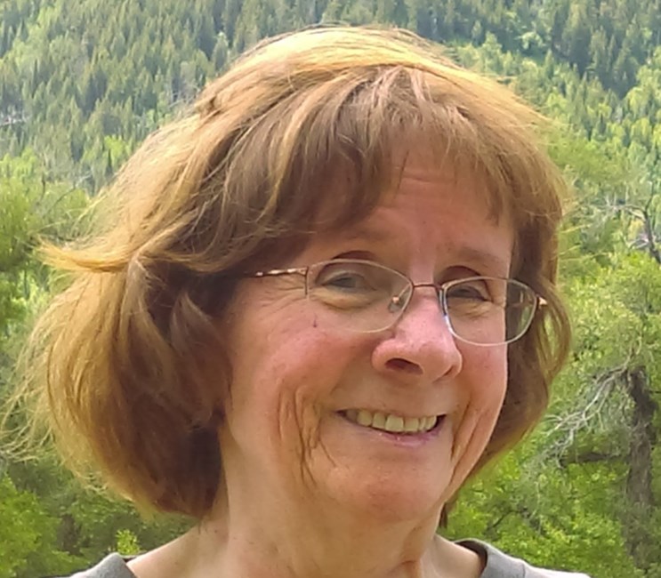 Obituary of Nancy Diane Lee