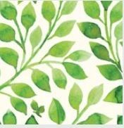 Obituary of Katy Marrero Correa