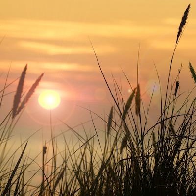 Obituary of William Michael Graham