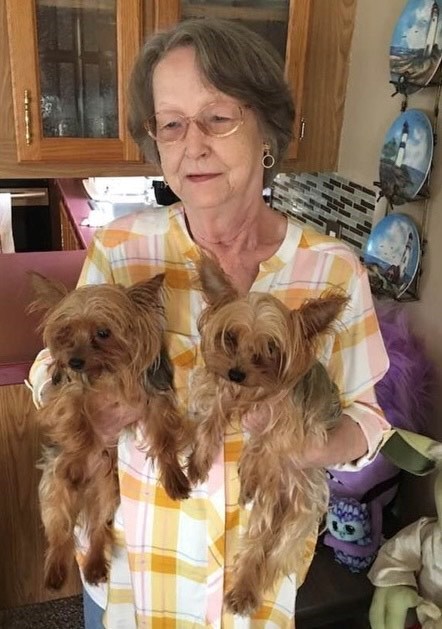 Obituary of Carol A. Lemon