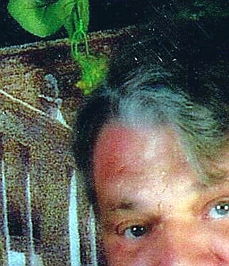 Theodore Peter Hamczyk Obituary Orlando, FL