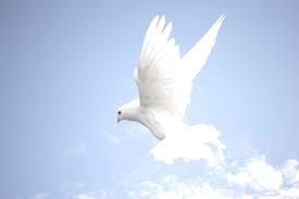 Obituary of Vandiver "Buddy" Kelvis Saylors Jr.