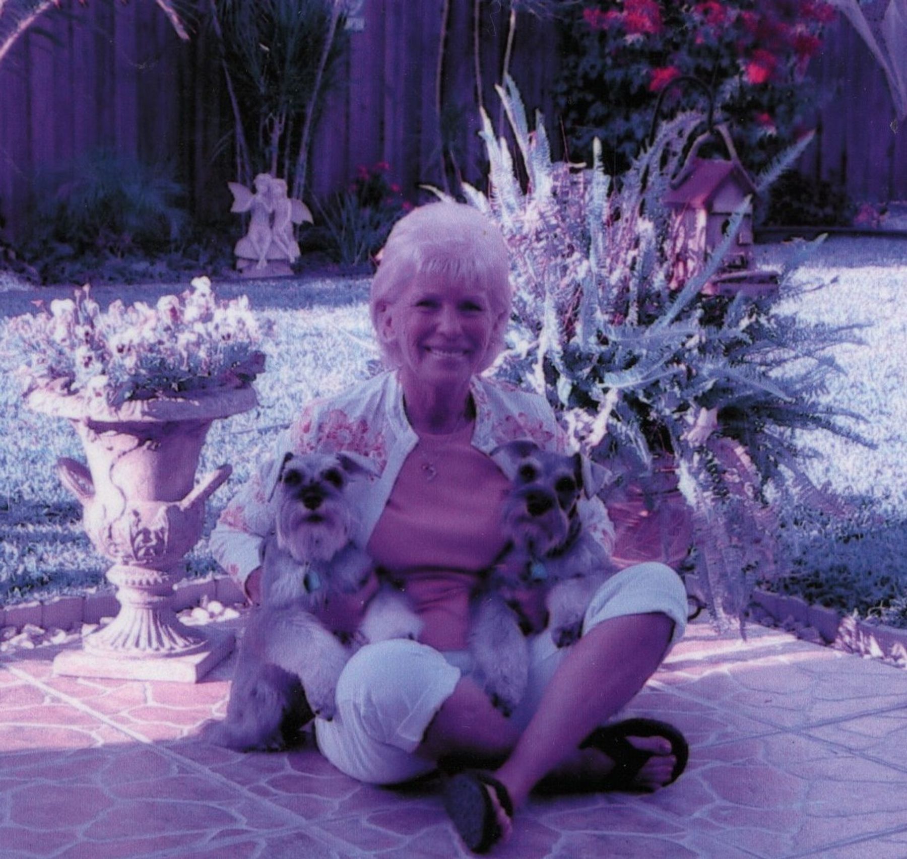 Obituary of Judith A. Ross