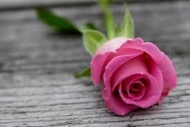 Obituary of Mildred Fields