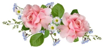 Obituary of Lois M. Long