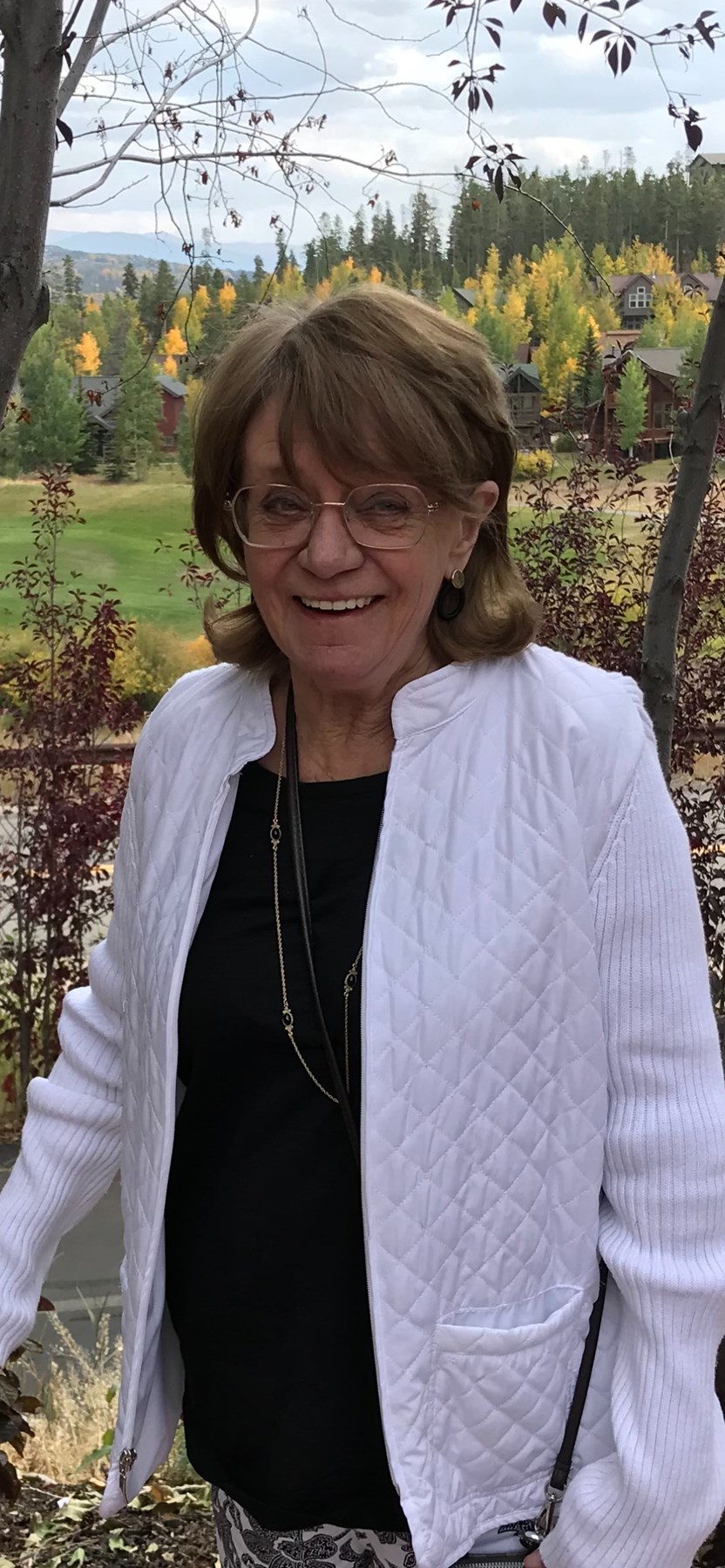 Obituary of Jo Ann Meier