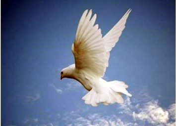 Obituary of Rita J. Campbell