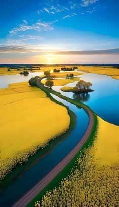 Obituario de Bradley James Wood