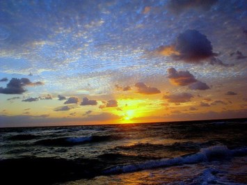 Obituary of Maria Griselda Covarrubias