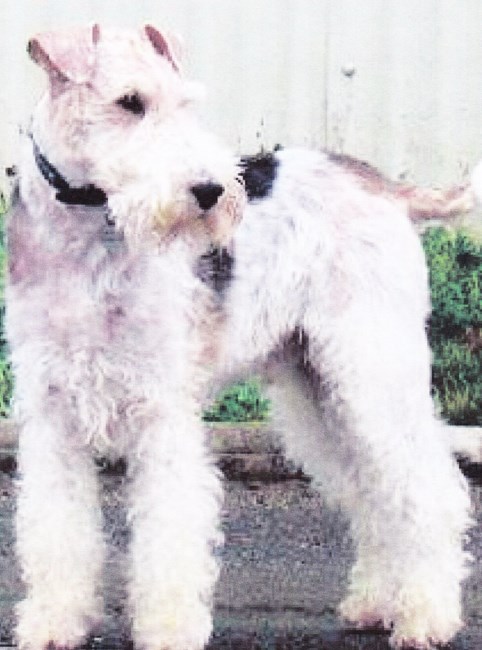 Drake Delanoy Obituary Las Vegas Nv