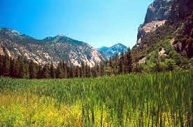 Obituary of Richard Robert Veneziano