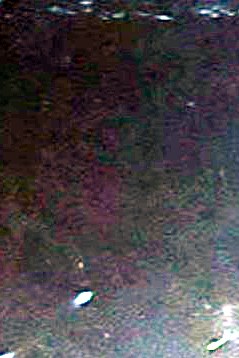 Jamal Sobh Obituary Whittier CA Jamal sobh obituary whittier ca