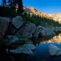 Obituary of Rita D. Eckart