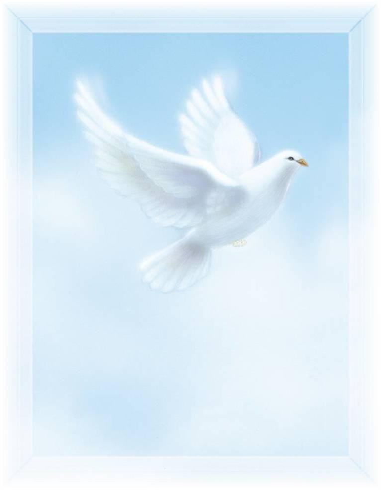 Obituary of Theresa Zavala Lopez