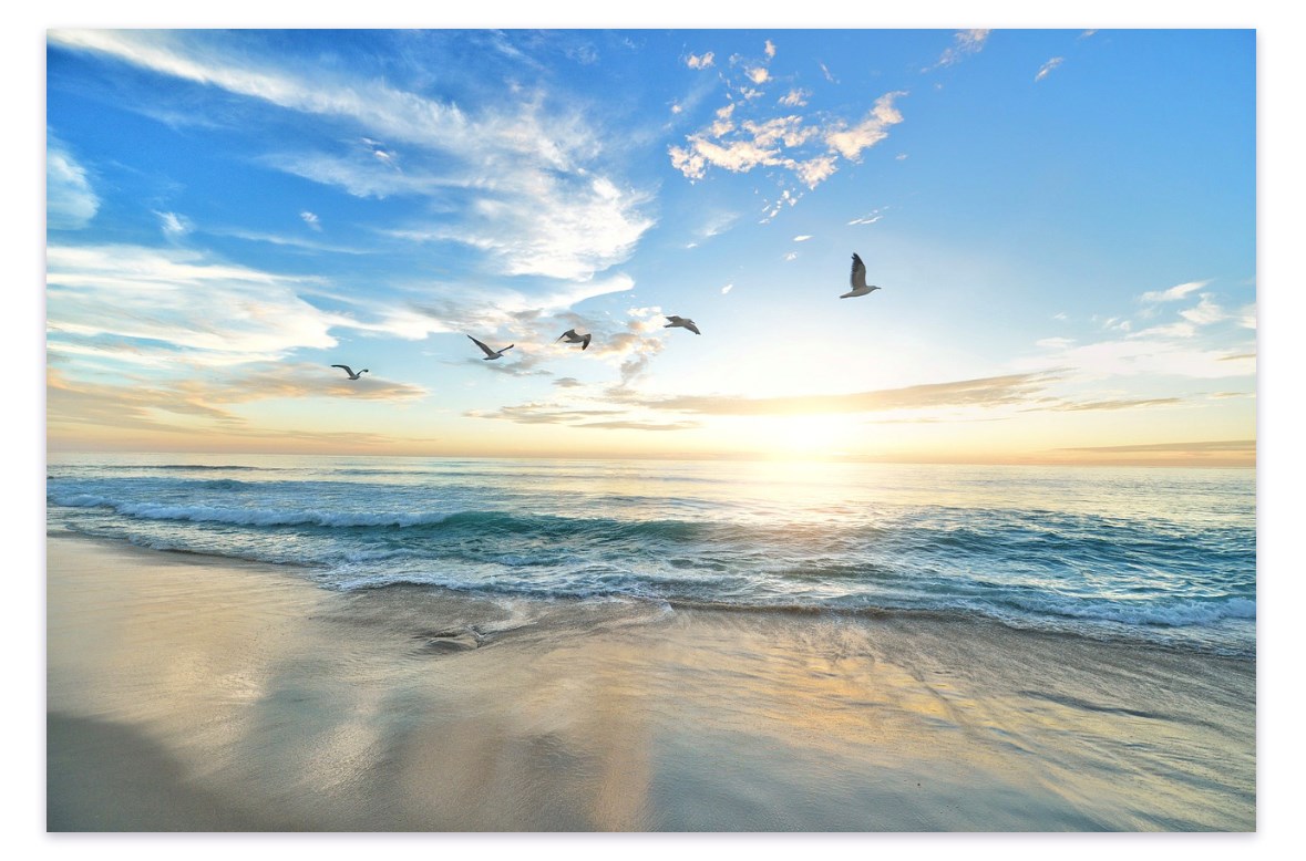 Obituary of Sarah Nadine Hernandez