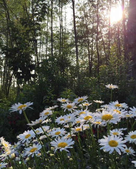 Obituary of Sandra Simianne Luff