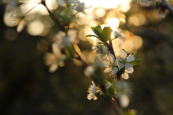 Obituary of Judith Kay Gudgel