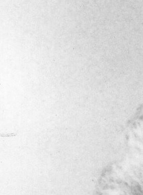 Helen Frances Rehwaldt Obituary - Washington, DC