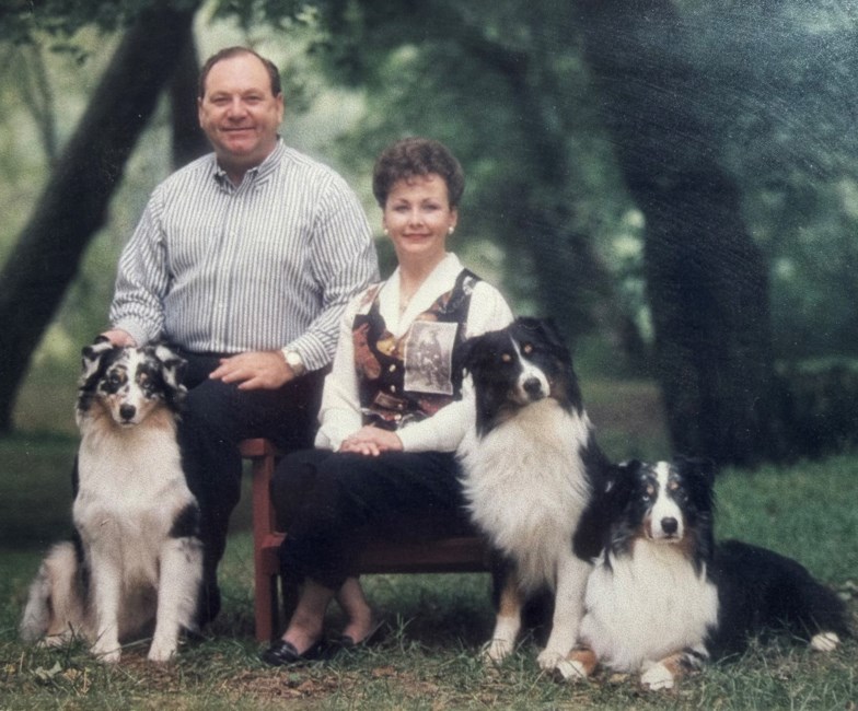 Obituary of Sharon H. Willis