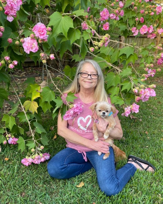 Obituary of Cynthia Gail Culli