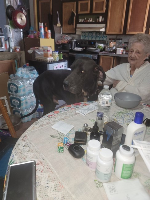 Obituary of Shirley Laverne Moorehart