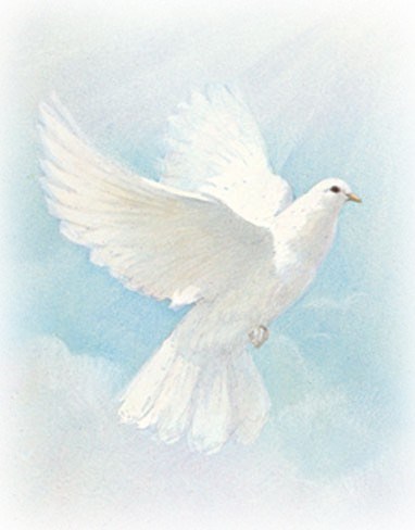 Obituary of Barbara Lee McCain