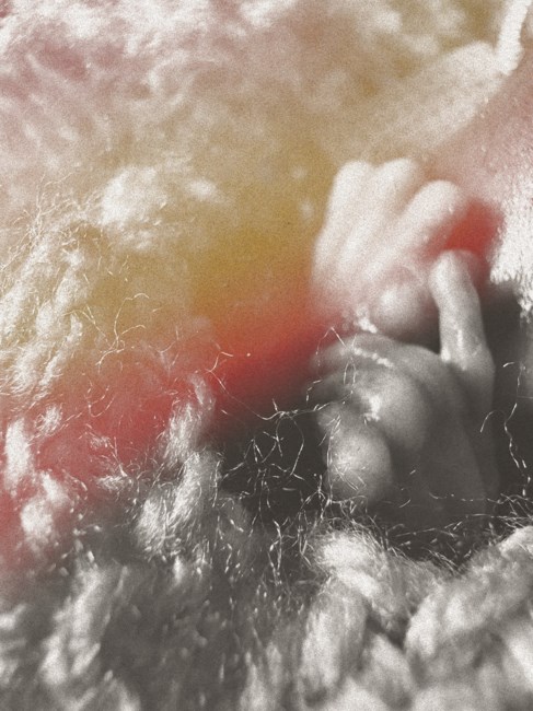 Obituario de Hazel Dawn Grace Eddy