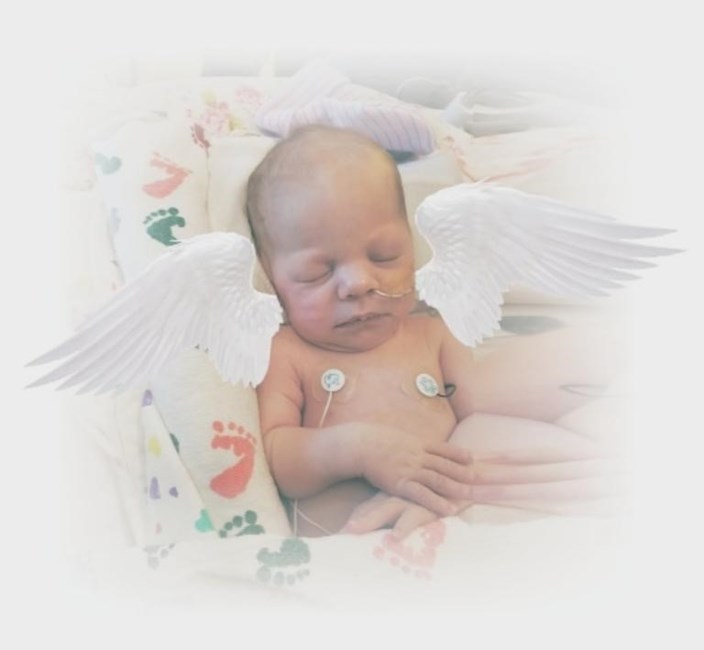 Obituary of Briar Lynn Stuart