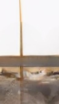 George Rauscher Obituary - Largo, FL