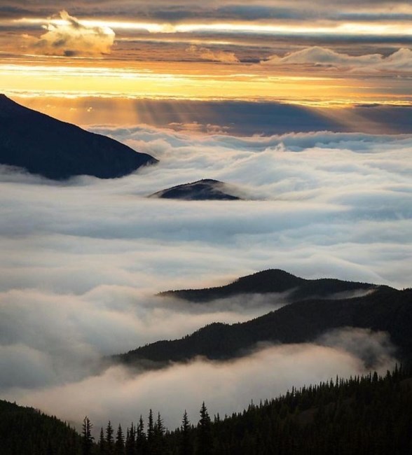 Obituary of Timojin Rodney Williamson