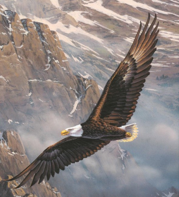 Obituary of Paul W. Borowiak