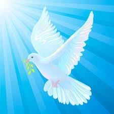 Obituary of Pablo José Rosado Fortiz