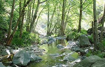 Edith H. Colbert Obituary - St. Louis, MO