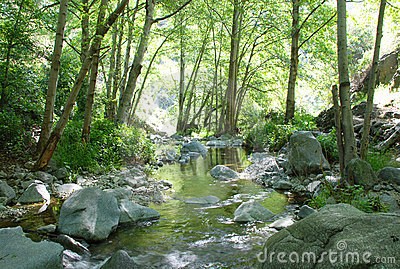 Obituary of Edith H. Colbert