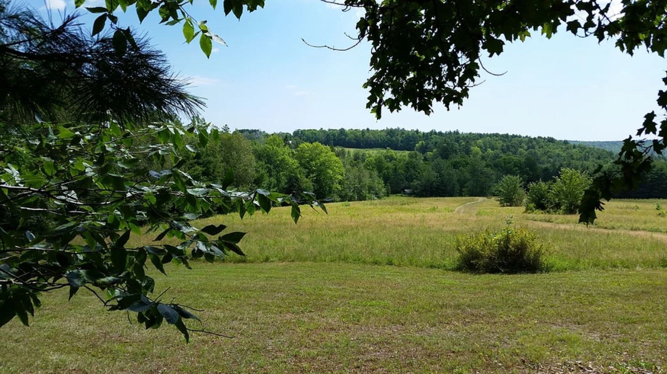 Obituary of Elizabeth "Libba" Mallory Oubre