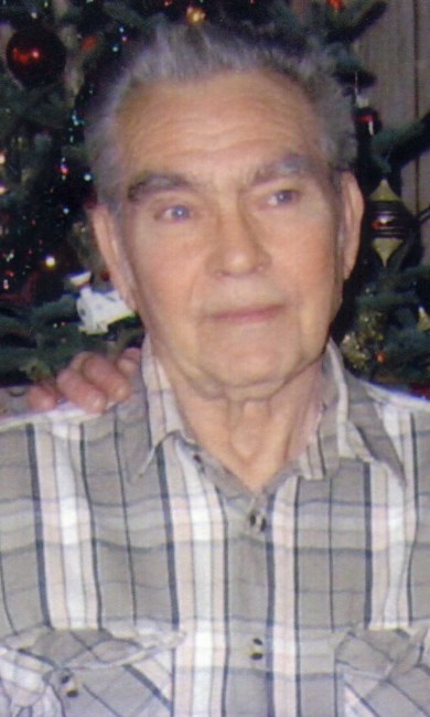 Obituary of Howard Mead