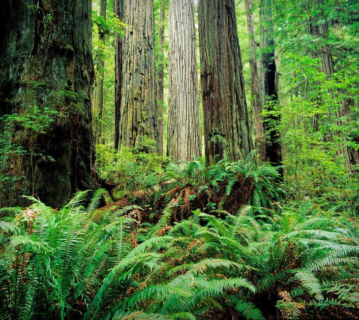 Obituary of Else Metha Hedges