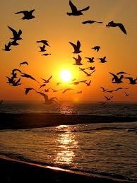 Obituary of Linda Marie Elliott