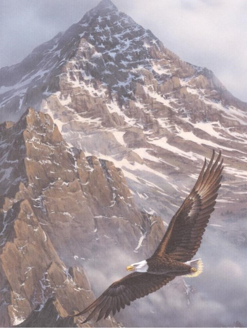 Obituary of Julian Edward Maxwell