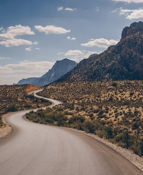 Obituary of Marsha Ann Wong