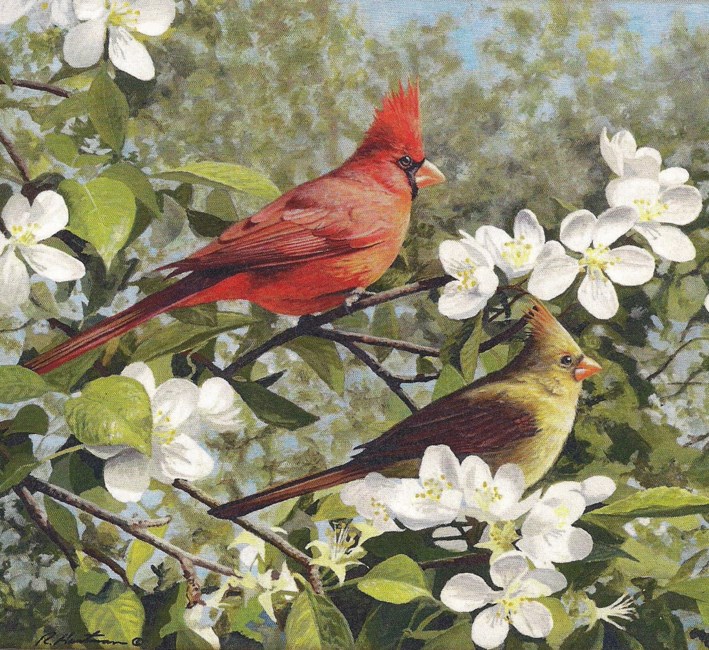 Obituary of Barbara Jane Guinn