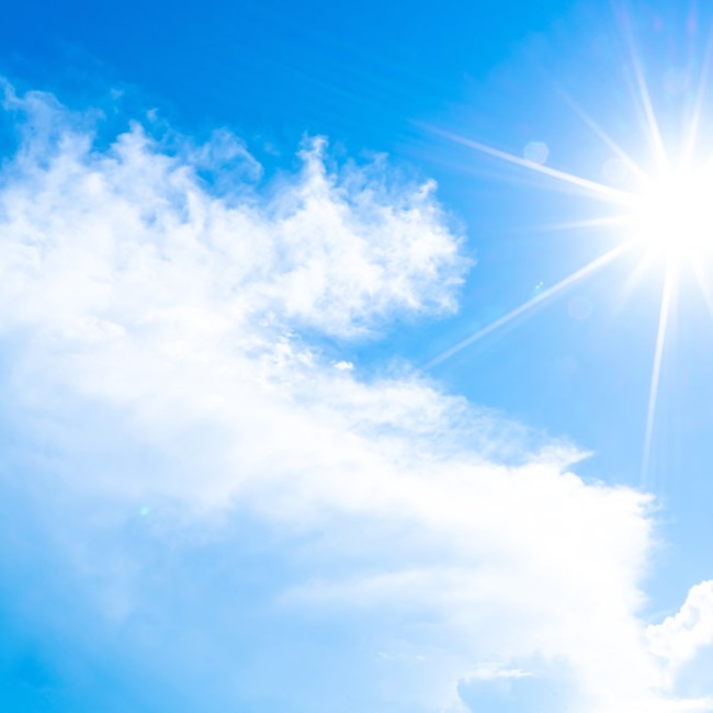 Obituary of Bessy Lorena Blanco Reyes