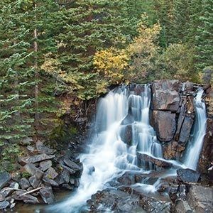 Obituary of Shane Jackson