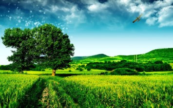 Obituary of Shirley Bennett Mills