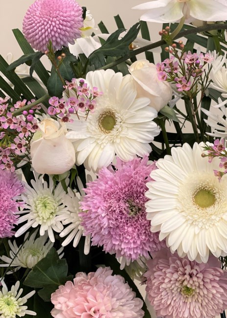 Obituary of Pui Ieng Cheng